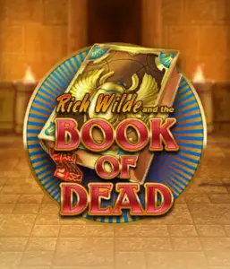 Dive into the thrilling world of Book of Dead Slot by Play'n GO, presenting vivid graphics of Rich Wilde’s adventurous journey through ancient Egyptian tombs and artifacts. Discover lost riches with exciting mechanics like free spins, expanding symbols, and a gamble option. Ideal for adventure enthusiasts with a desire for exciting finds.